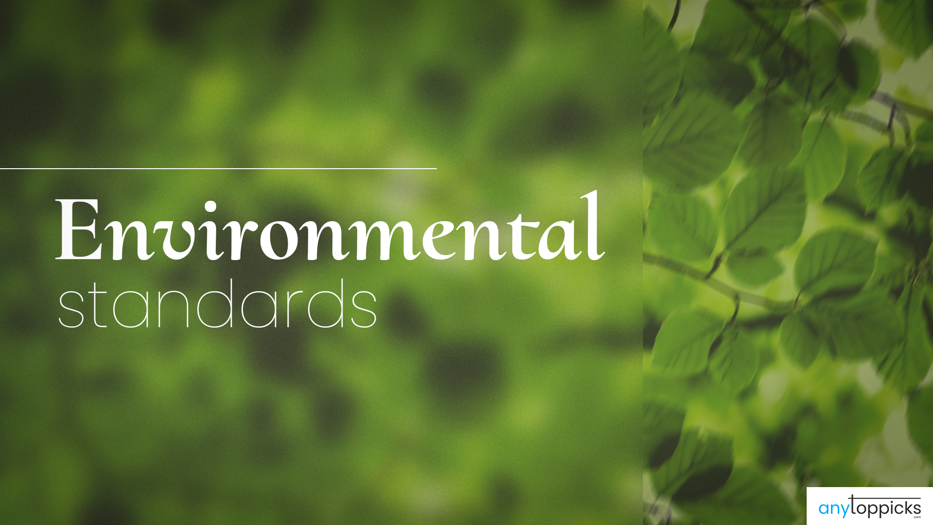 Environmental Standards